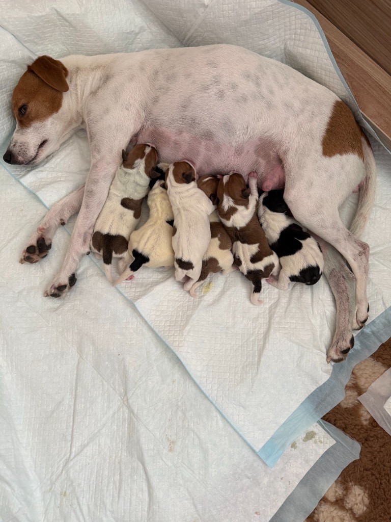 Maminka Baireen po nočním porodu odpočívá a kojí své malé mrňousky